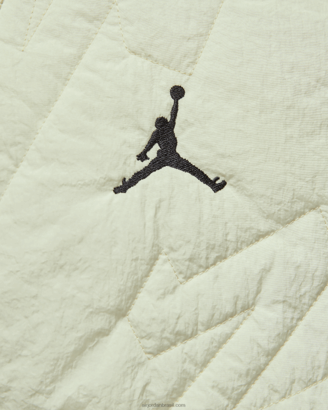 Homens Sião 42484e1822air Jordan